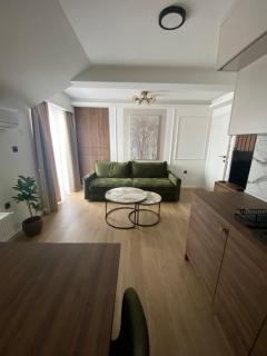 Apartmani Lazarevic Jagodina - Jagodina - 3