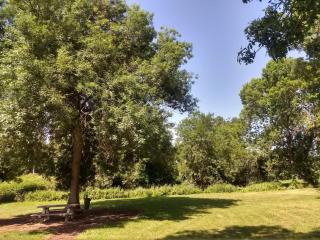 Le domaine du Clair Mont entre Beauval et châteaux - Monthou-sur-Cher - 7