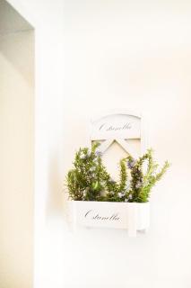 Ostunella - Ostuni - 8