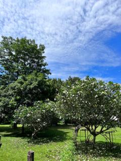 Giant guesthouse - Pai - 8