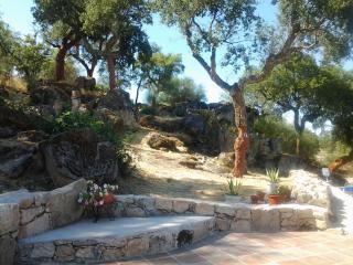 Flor da Ramila - Marvão - 4