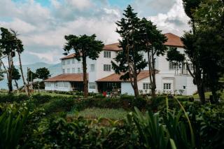 Tea and Experience Factory - Thema Collection - 8