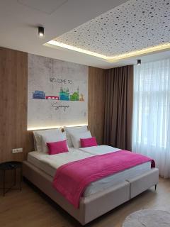 Rina Apartments - Sarajevo - 2