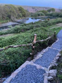 The Wrens Nest - Swansea - 2