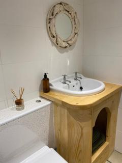 The Wrens Nest - Swansea - 1