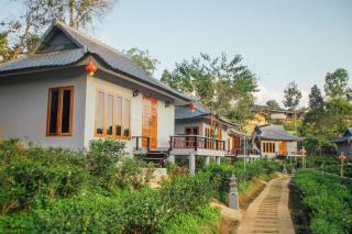 Chenfong Rakthai Resort-ไร่ชาเฉินฟงรีสอร์ท - Ban Rak Thai - 8