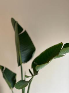 Costa Sun Apartment - Calella - 7