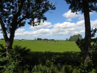 B&b Hoogholtje - Onderdendam - 7