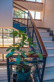 Grand Skyline Hotel - Nakuru - 7