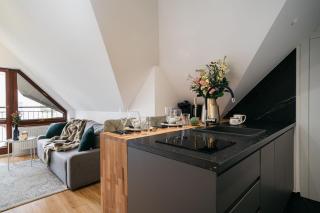 Brzozova Apartments Zakopane - LoftAffair - Zakopane - 1