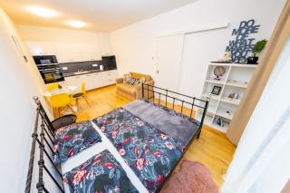 Lovely studio apartment, Free parking 1,55 hight - Prag - 0