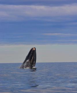 Complejo Anita 07 - 6