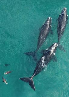 Complejo Anita Departamento Studio 08 - 6