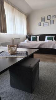 Happy Stay Gondola Loft - Bansko - 0