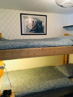 Lumineux Appartement 2 Alpes - Vénosc - 6