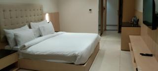 Crown Park Luxury Hotel - Bhilwara - 6
