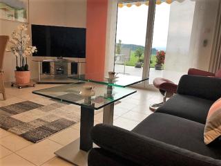Ferienwohnung mit herrlicher Aussicht "Ihre Urlaubs-Oase auf Zeit!" - Bad Dürrheim - 1