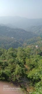 Ekant HomeStay - Mukteshwar - 6