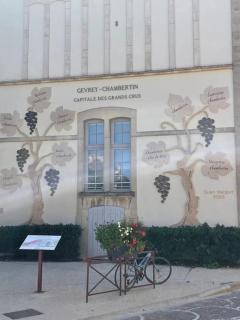 Le Richebourg - Gevrey-Chambertin - 5