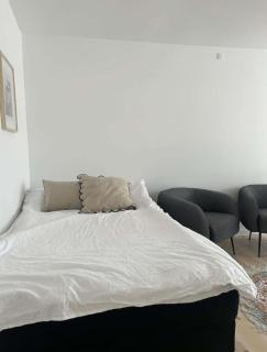 Kings apt, doublex w water view & private terrasse - Copenaghen - 5