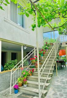 Mountain Home Inn-Guesthouse - 3