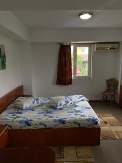 Quiet Garden Ground Floor - Bucarest - 6