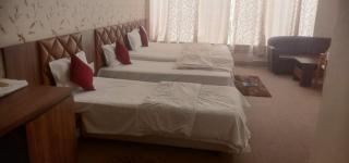 Hotel Karan - Maunda - 2