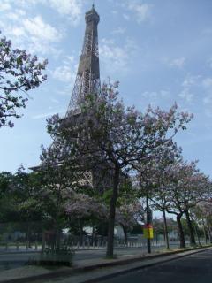 Plein coeur de Paris - Paris - 0