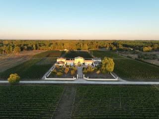La Tour Bélize du Château Saint-Laurent - Saint-Laurent-de-Médoc - 6