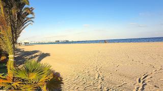 Atico con terraza privada , a 100 metros de playa Levante Santa Pola - 4