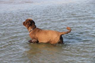 Ferienwohnung Seebergweg - 3