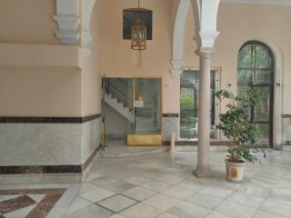 Palacio de los Marqueses de Monsalud - Seville - 3