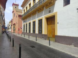 Palacio de los Marqueses de Monsalud - Seville - 6