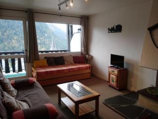 Studio pour 3 à Châtel, proche remontées mécaniques et centre - FR-1-676-110 - Châtel - 9