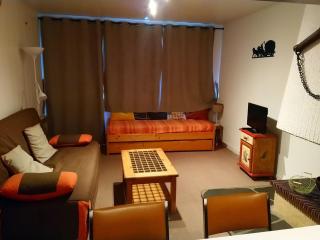 Studio pour 3 à Châtel, proche remontées mécaniques et centre - FR-1-676-110 - Châtel - 6