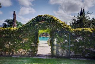Tenuta Sant'Andrea - Muro Leccese - 3