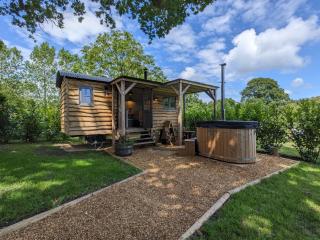 Hut in the Forest - Brockenhurst - 0