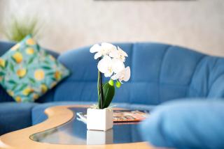 Ferienwohnung Marie - 3