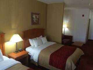Comfort Inn & Suites Chesapeake - Portsmouth - 4