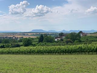 Berkenyés Házikó - Dél-Balaton - 5