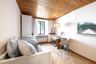 Chasa Vi Studio - Scuol - 3