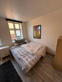 Spacious and central apartment I 250m from Bryggen - 8