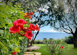 Seaside Villa with private garden - Cittadella del Capo - 2