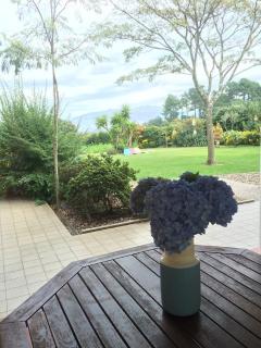 Quinta do Pinheiral - Favões - 6