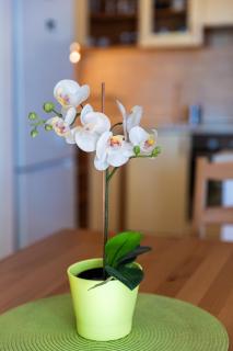 Laguna Family Beach Apartman By BLTN - Siófok - 7
