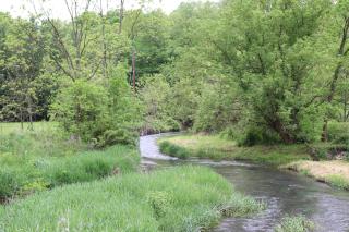 Penn's Creek Symphony - Spring Mills - 9