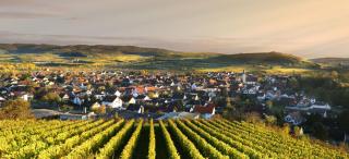 Ferienhof Schlössle - Sasbach am Kaiserstuhl - 8