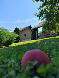 Garden 022 - 1