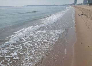 Rent apartment by the sea in Bulgaria, Sveti Vlas, Fort Noks Prestige - Sweti Wlas - 0