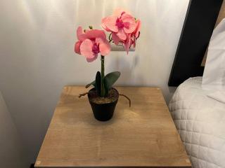 Dk4-Studio for 4 in Zona Viva - Guatemala - 8